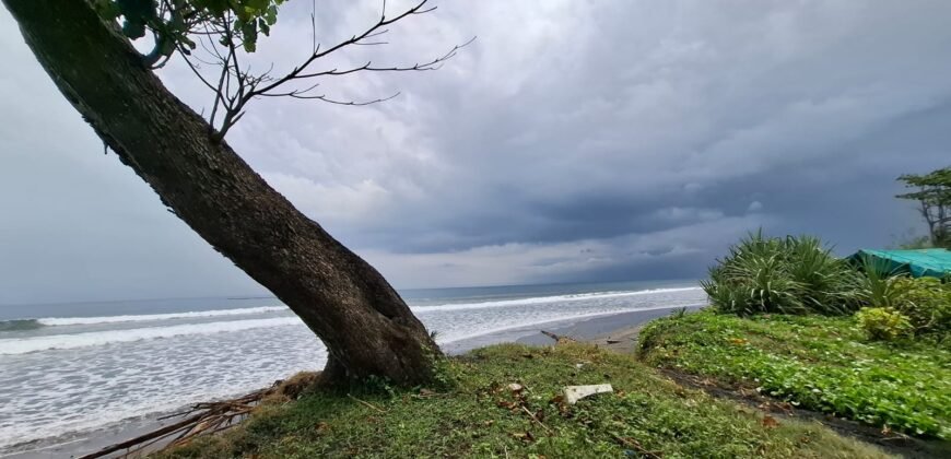 Tanah kebun los pantai dengan view sawah dan perbukitan