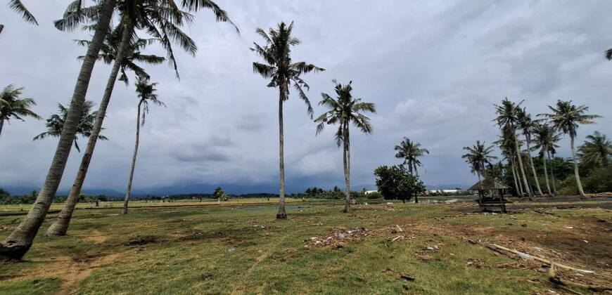 Tanah kebun los pantai dengan view sawah dan perbukitan