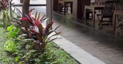 Hotel & Villa dekat pantai Mengening Cemagi Canggu