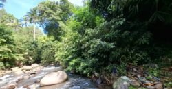 Tanah kebun los sungai, dengan view sawah dan gunung