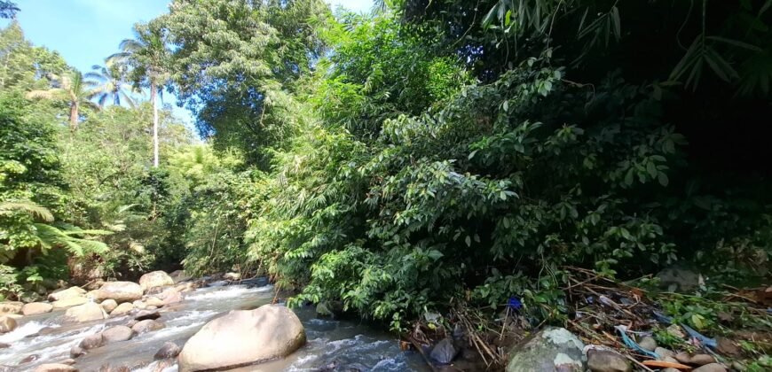 Tanah kebun los sungai, dengan view sawah dan gunung