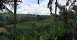 Tanah kebun los sungai, dengan view sawah dan gunung