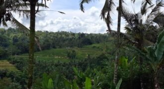 Tanah kebun los sungai, dengan view sawah dan gunung