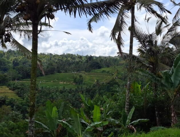 Tanah kebun los sungai, dengan view sawah dan gunung