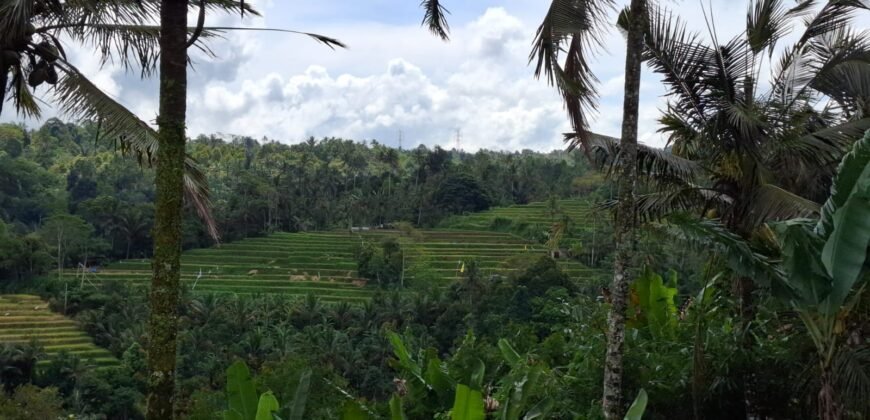Tanah kebun los sungai, dengan view sawah dan gunung