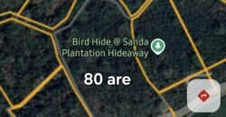 Tanah kebun los sungai, dengan view sawah dan gunung