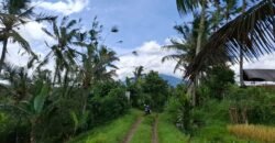 Tanah kebun los sungai, dengan view sawah dan gunung