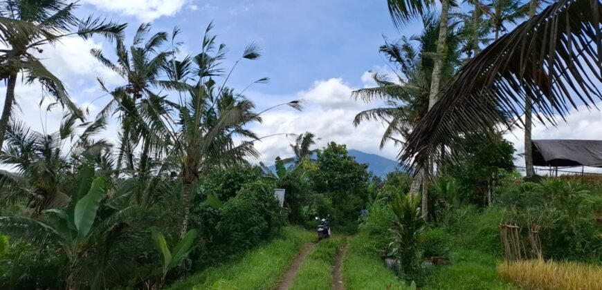 Tanah kebun los sungai, dengan view sawah dan gunung