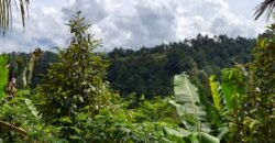 Tanah kebun los sungai, dengan view sawah dan gunung