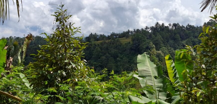 Tanah kebun los sungai, dengan view sawah dan gunung