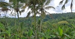 Tanah kebun los sungai, dengan view sawah dan gunung