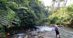 Tanah kebun los sungai, dengan view sawah dan gunung