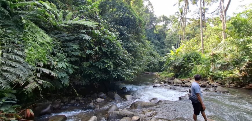 Tanah kebun los sungai, dengan view sawah dan gunung
