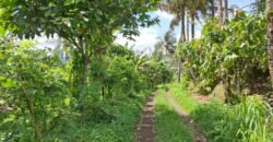 Tanah kebun los sungai, dengan view sawah dan gunung