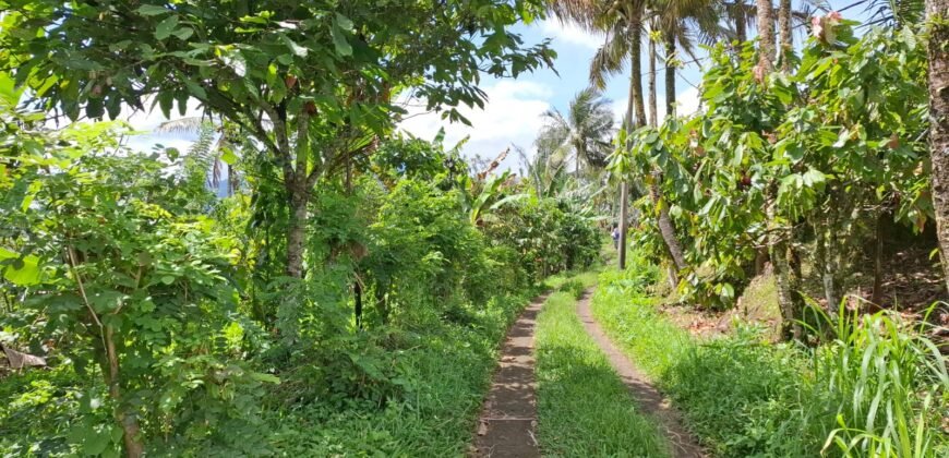 Tanah kebun los sungai, dengan view sawah dan gunung