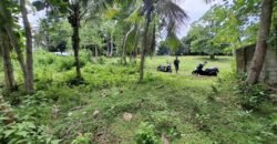 Tanah kebun dekat dengan pantai dan jalan Denpasar Gilimanuk