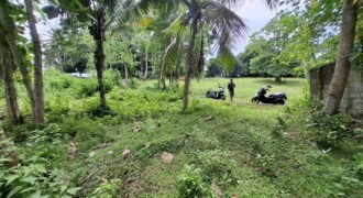 Tanah kebun dekat dengan pantai dan jalan Denpasar Gilimanuk