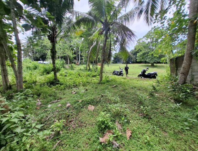 Tanah kebun dekat dengan pantai dan jalan Denpasar Gilimanuk