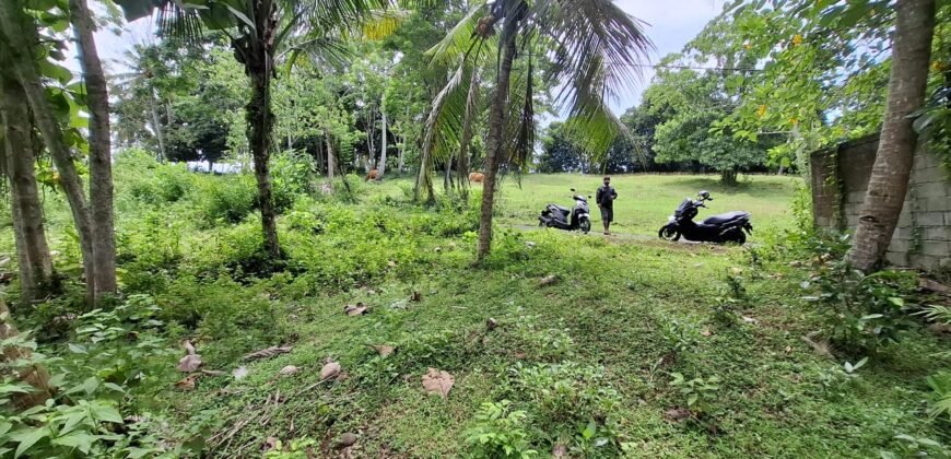 Tanah kebun dekat dengan pantai dan jalan Denpasar Gilimanuk