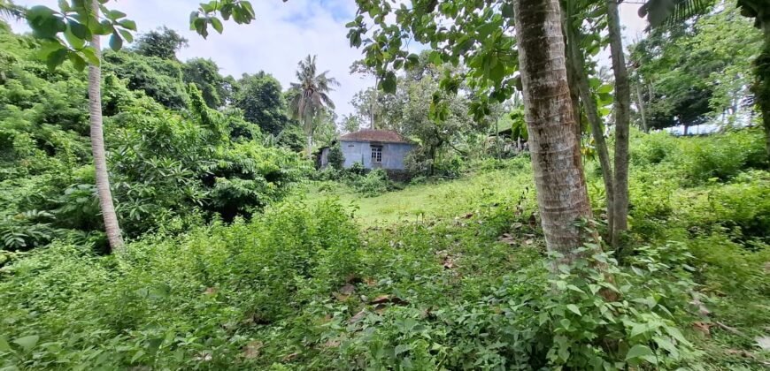 Tanah kebun dekat dengan pantai dan jalan Denpasar Gilimanuk