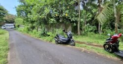 Tanah kebun dekat dengan pantai dan jalan Denpasar Gilimanuk