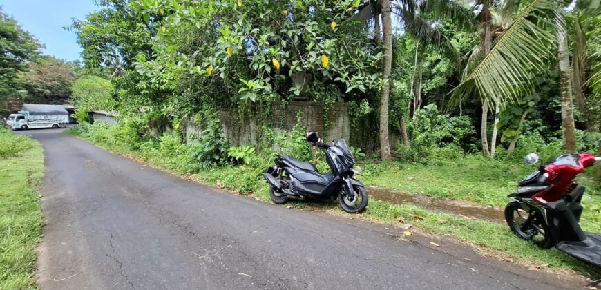 Tanah kebun dekat dengan pantai dan jalan Denpasar Gilimanuk