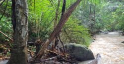 Tanah kebun los sungai dekat dengan pantai