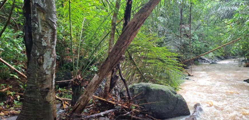Tanah kebun los sungai dekat dengan pantai