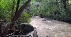 Tanah kebun los sungai dekat dengan pantai