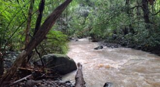 Tanah kebun los sungai dekat dengan pantai