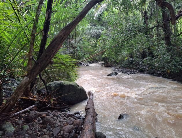 Tanah kebun los sungai dekat dengan pantai