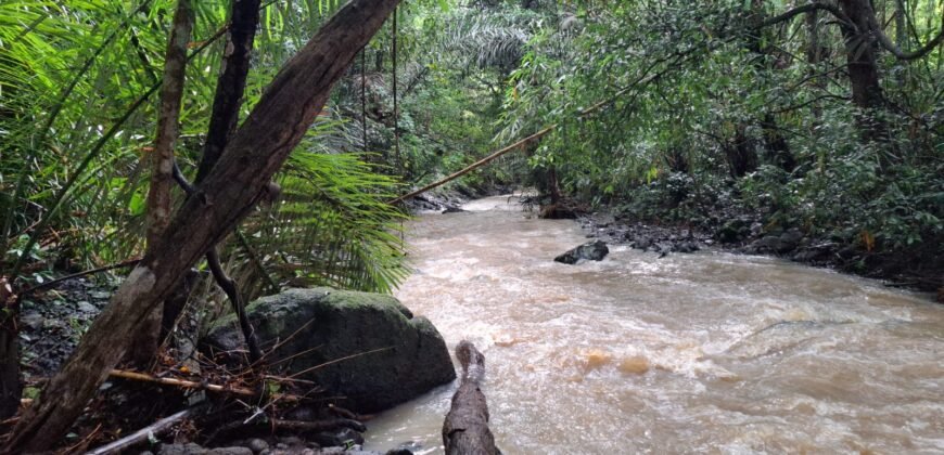 Tanah kebun los sungai dekat dengan pantai