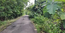 Tanah kebun los sungai dekat dengan pantai