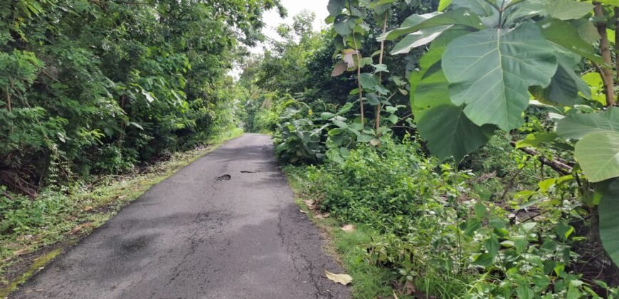 Tanah kebun los sungai dekat dengan pantai