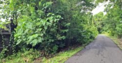 Tanah kebun los sungai dekat dengan pantai