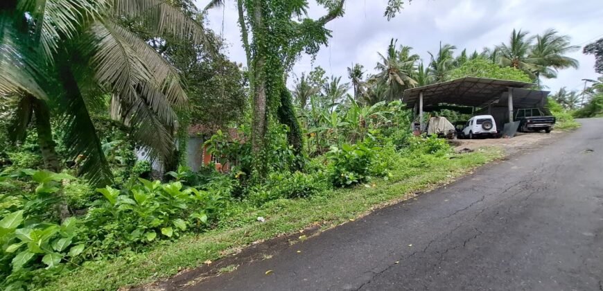 Tanah kebun dekat pantai dan jalan Denpasar Gilimanuk