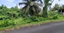 Tanah kebun dekat pantai dan jalan Denpasar Gilimanuk