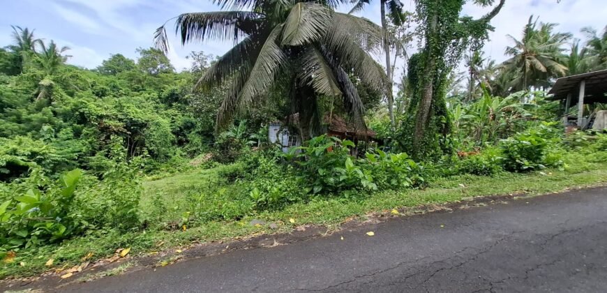 Tanah kebun dekat pantai dan jalan Denpasar Gilimanuk