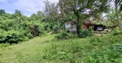 Tanah kebun dekat pantai dan jalan Denpasar Gilimanuk