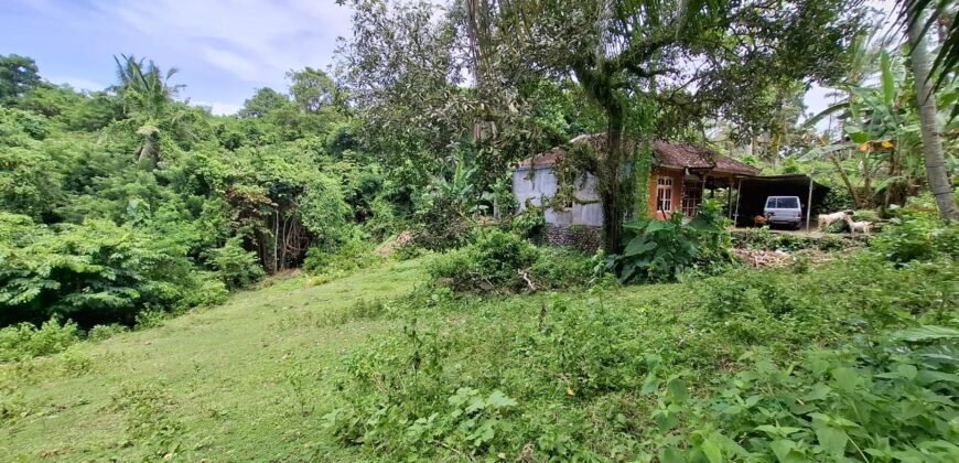 Tanah kebun dekat pantai dan jalan Denpasar Gilimanuk