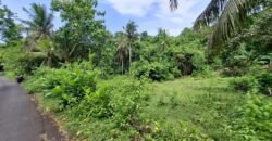 Tanah kebun dekat pantai dan jalan Denpasar Gilimanuk