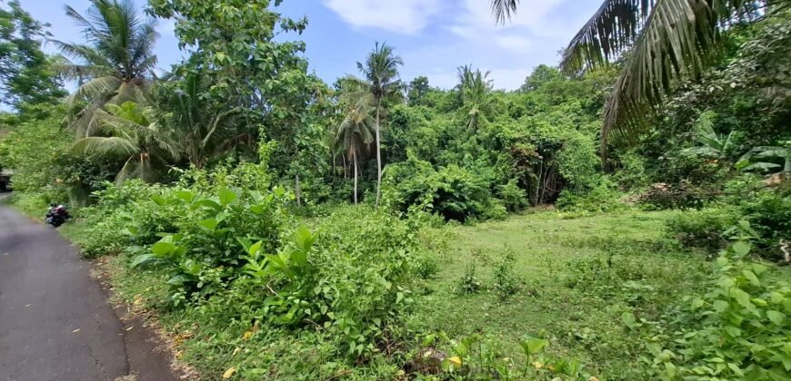 Tanah kebun dekat pantai dan jalan Denpasar Gilimanuk