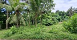 Tanah kebun dekat pantai dan jalan Denpasar Gilimanuk