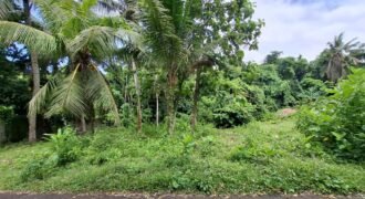 Tanah kebun dekat pantai dan jalan Denpasar Gilimanuk