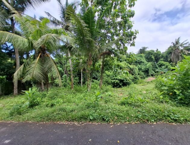 Tanah kebun dekat pantai dan jalan Denpasar Gilimanuk