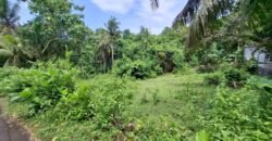 Tanah kebun dekat pantai dan jalan Denpasar Gilimanuk