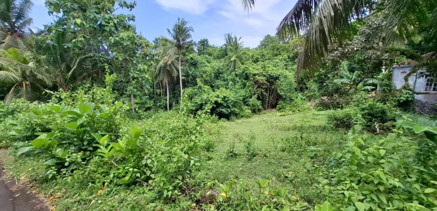 Tanah kebun dekat pantai dan jalan Denpasar Gilimanuk