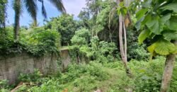 Tanah kebun dekat dengan pantai dan jalan Denpasar Gilimanuk