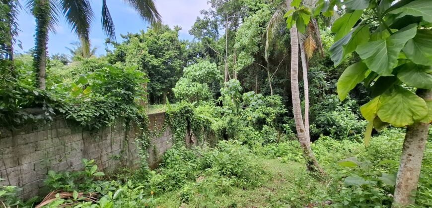 Tanah kebun dekat dengan pantai dan jalan Denpasar Gilimanuk