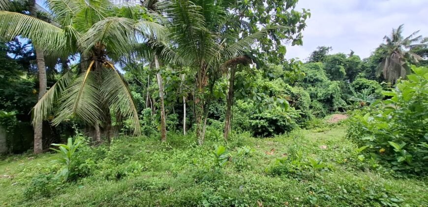 Tanah kebun dekat dengan pantai dan jalan Denpasar Gilimanuk